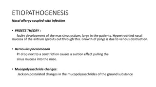 ETIOPATHOGENESIS
Nasal allergy coupled with infection
• PROETZ THEORY :
faulty development of the max sinus ostium, large in the patients. Hypertrophied nasal
mucosa of the antrum sprouts out through this. Growth of polyp is due to venous obstruction.
• Bernoullis phenomenon
Pr drop next to a constriction causes a suction effect pulling the
sinus mucosa into the nose.
• Mucopolysacchride changes:
Jackson postulated changes in the mucopolysacchrides of the ground substance
 