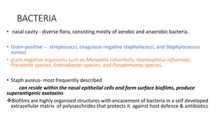 BACTERIA
• nasal cavity - diverse flora, consisting mostly of aerobic and anaerobic bacteria.
• Gram-positive -- streptococci, coagulase-negative staphylococci, and Staphylococcus
aureus
• gram-negative organisms such as Moraxella catarrhalis, Haemophilus influenzae,
Prevotella species, Enterobacter species, and Pseudomonas species.
• Staph aureus- most frequently described
can reside within the nasal epithelial cells and form surface biofilms, produce
superantigenic exotoxins
Biofilms are highly organised structures with encasement of bacteria in a self developed
extracellular matrix of polysacchrides that protects it against host defence & antibiotics
 