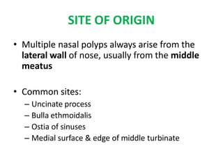SITE OF ORIGIN
• Multiple nasal polyps always arise from the
lateral wall of nose, usually from the middle
meatus
• Common sites:
– Uncinate process
– Bulla ethmoidalis
– Ostia of sinuses
– Medial surface & edge of middle turbinate
 