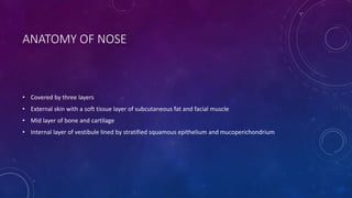 ANATOMY OF NOSE
• Covered by three layers
• External skin with a soft tissue layer of subcutaneous fat and facial muscle
• Mid layer of bone and cartilage
• Internal layer of vestibule lined by stratified squamous epithelium and mucoperichondrium
 