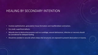 HEALING BY SECONDARY INTENTION
• Involves epithelization, granulation tissue formation and myofibroblast contraction.
• For small, superficial defects.
• Wounds due to destructive process such as curettage, wound dehiscence, infection or necrosis should
be considered for delayed healing
• Should be avoided in wounds where deep vital structures are exposed to prevent desiccation or trauma.
 