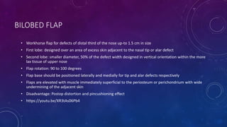 BILOBED FLAP
• Workhorse flap for defects of distal third of the nose up-to 1.5 cm in size
• First lobe: designed over an area of excess skin adjacent to the nasal tip or alar defect
• Second lobe: smaller diameter, 50% of the defect width designed in vertical orientation within the more
lax tissue of upper nose
• Flap rotation: 90 to 100 degrees
• Flap base should be positioned laterally and medially for tip and alar defects respectively
• Flaps are elevated with muscle immediately superficial to the periosteum or perichondrium with wide
undermining of the adjacent skin
• Disadvantage: Postop distortion and pincushioning effect
• https://youtu.be/XR3tAs06Pb4
 