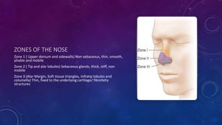 ZONES OF THE NOSE
Zone 1 ( Upper dorsum and sidewalls) Non sebaceous, thin, smooth,
pliable and mobile
Zone 2 ( Tip and alar lobules) Sebaceous glands, thick, stiff, non
mobile
Zone 3 (Alar Margin, Soft tissue triangles, Infratip lobules and
columella) Thin, fixed to the underlying cartilage/ fibrofatty
structures
 