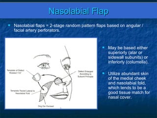 Nasalreconstructiongrandrounds043009 | PPT