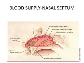 BLOOD SUPPLY-NASAL SEPTUM
 