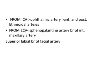 • FROM ICA >ophthalmic artery >ant. and post.
Ethmoidal arteies
• FROM ECA- sphenopalantine artery br of int.
maxillary artery
Superior labial br of facial artery
 
