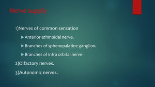Nerve supply
1)Nerves of common sensation
Anterior ethmoidal nerve.
Branches of sphenopalatine ganglion.
Branches of infra orbital nerve
2)Olfactory nerves.
3)Autonomic nerves.
 