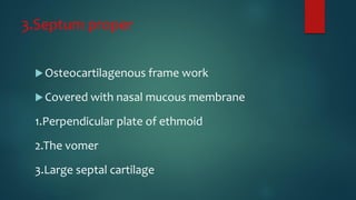 3.Septum proper
Osteocartilagenous frame work
Covered with nasal mucous membrane
1.Perpendicular plate of ethmoid
2.The vomer
3.Large septal cartilage
 