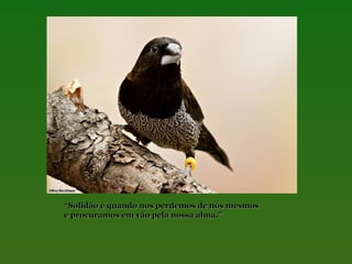 “Solidão é quando nos perdemos de nós mesmos
e procuramos em vão pela nossa alma.”

 