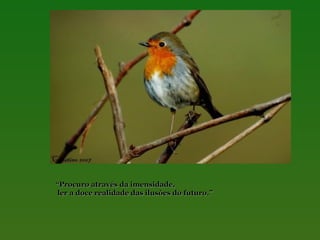 “Procuro através da imensidade,
ler a doce realidade das ilusões do futuro.”

 