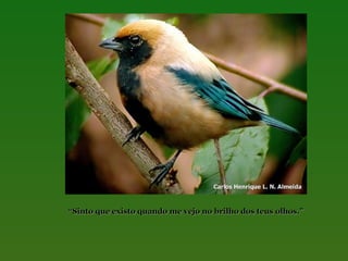 “Sinto que existo quando me vejo no brilho dos teus olhos.”

 