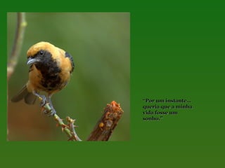 “Por um instante…
queria que a minha
vida fosse um
sonho.”

 