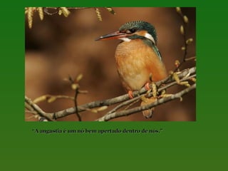 “A angustia é um nó bem apertado dentro de nós.”

 