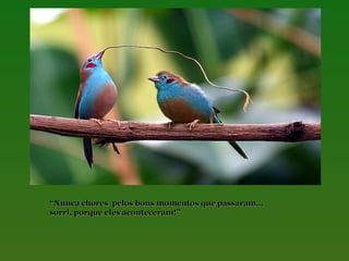 “Nunca chores pelos bons momentos que passaram…
sorri, porque eles aconteceram!”

 