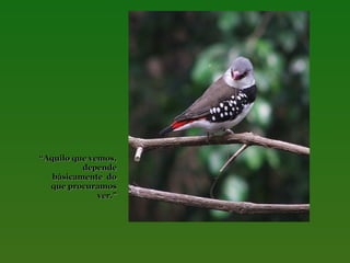 “Aquilo que vemos,
depende
bàsicamente do
que procuramos
ver.”

 