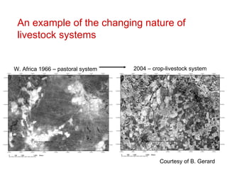 Global livestock trends—the past may not always predict the future