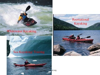 Recreational
                                          Kayaking

Whitewater Kayaking




    Sea Kayaking/ Touring




                        www.acanet.org
 