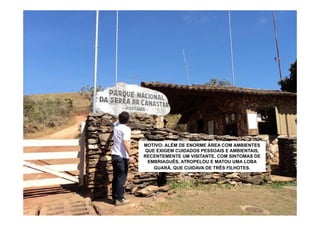 MOTIVO: ALÉM DE ENORME ÁREA COM AMBIENTES
 NA PORTARIA PAGA-SE UMA TAXA POR PESSOA
QUE EXIGEMACONSELHÁVEL TRAZER LANCHES
  (R$6,80). É CUIDADOS PESSOAIS E AMBIENTAIS,
RECENTEMENTE UMOITO HORASCOM SINTOMAS AS
SUFICIENTES PARA VISITANTE, DE AVENTURA. DE
 MOCHILAS SÃO REVISTADAS (PROIBIDO BEBIDA
 EMBRIAGUÊS, ATROPELOU E MATOU UMA LOBA
                  ÁLCOOLICA).
    GUARÁ, QUE CUIDAVA DE TRÊS FILHOTES.
 
