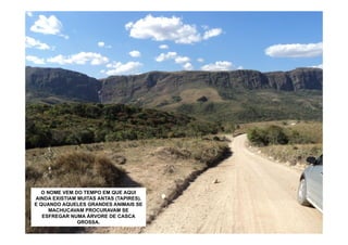 O NOME VEM DO TEMPO EM QUE AQUI
AINDA EXISTIAM MUITAS ANTAS (TAPIRES).
E QUANDO AQUELES GRANDES ANIMAIS SE
      MACHUCAVAM PROCURAVAM SE
   ESFREGAR NUMA ÁRVORE DE CASCA
               GROSSA.
 