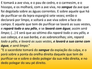 E tomará a ave viva, e o pau de cedro, e o carmesim, e o hissopo, e os molhará, com a ave viva, no sangue da ave que foi degolada sobre as águas correntes. E sobre aquele que há de purificar-se da lepra espargirá sete vezes; então o declarará por limpo, e soltará a ave viva sobre a face do campo. E aquele que tem de purificar-se lavará as suas vestes, e rapará todo o seu pêlo, e se lavará com água; assim será limpo; (...) E será que ao sétimo dia rapará todo o seu pêlo, a sua cabeça, e a sua barba, e as sobrancelhas; sim, rapará todo o pêlo, e lavará as suas vestes, e lavará a sua carne com água, e será limpo.”“E o sacerdote tomará do sangue da expiação da culpa, e o porá sobre a ponta da orelha direita daquele que tem de purificar-se e sobre o dedo polegar da sua mão direita, e no dedo polegar do seu pé direito. 
