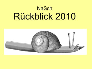 NaSch Rückblick 2010 