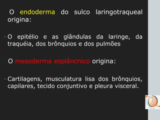 O endoderma do sulco laringotraqueal
origina:
- O epitélio e as glândulas da laringe, da
traquéia, dos brônquios e dos pulmões
O mesoderma esplâncnico origina:
- Cartilagens, musculatura lisa dos brônquios,
capilares, tecido conjuntivo e pleura visceral.
 