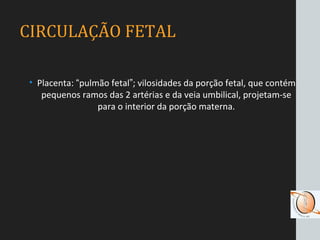 CIRCULAÇÃO FETAL
• Placenta: “pulmão fetal”; vilosidades da porção fetal, que contém
pequenos ramos das 2 artérias e da veia umbilical, projetam-se
para o interior da porção materna.
 