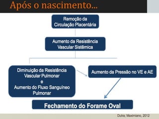 Após o nascimento...
 