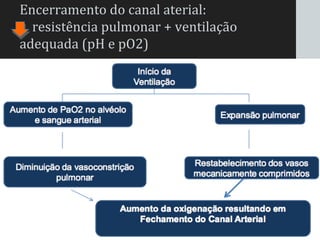 Encerramento do canal arterial:
resistência pulmonar + ventilação
adequada (pH e pO2)
 