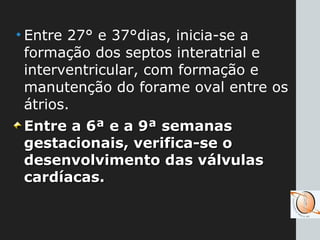 • Entre 27° e 37°dias, inicia-se a
formação dos septos interatrial e
interventricular, com formação e
manutenção do forame oval entre os
átrios.
Entre a 6ª e a 9ª semanasEntre a 6ª e a 9ª semanas
gestacionais, verifica-se ogestacionais, verifica-se o
desenvolvimento das válvulasdesenvolvimento das válvulas
cardíacas.cardíacas.
 