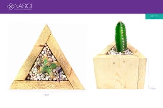 NASCIPROYECTOS NATURALES
REF: T1
14cm
9cm
12cm
 