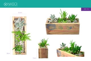 NASCIPROYECTOS NATURALES
REF: R3
26cm
10cm
8,5cm
 