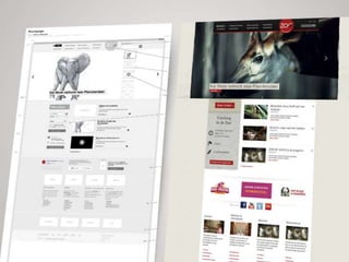 Nascom Drupal & Symfony projects 2013