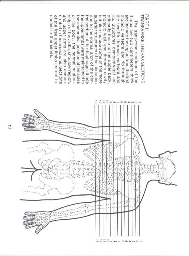 Nasco's anatomy workbook