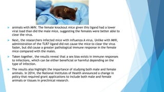  animals with MHV. The female knockout mice given this ligand had a lower
viral load than did the male mice, suggesting the females were better able to
clear the virus.
 Next, the researchers infected mice with influenza A virus. Unlike with MHV,
administration of the TLR7 ligand did not cause the mice to clear the virus
faster, but did cause a greater pathological immune response in the female
mice compared with the males.
 Taken together, the results reveal that a sex bias exists in immune responses
to infections, which can be either beneficial or harmful depending on the
type of infection.
 The results also highlight the importance of studying both male and female
animals. In 2014, the National Institutes of Health announced a change in
policy that required grant applications to include both male and female
animals or tissues in preclinical research.
 