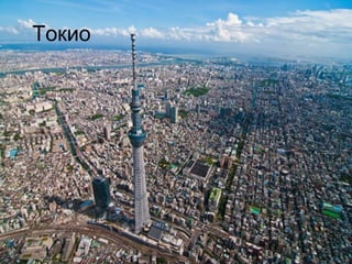 Токио 
 