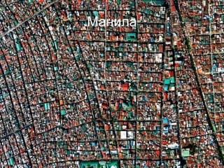 Манила 
 