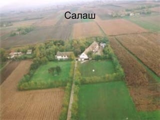 Салаш 
 