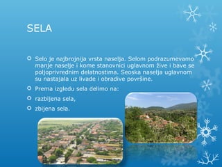 SELA
 Selo je najbrojnija vrsta naselja. Selom podrazumevamo
manje naselje i kome stanovnici uglavnom žive i bave se
poljoprivrednim delatnostima. Seoska naselja uglavnom
su nastajala uz livade i obradive površine.
 Prema izgledu sela delimo na:
 razbijena sela,
 zbijena sela.
 