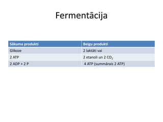 Fermentācija

Sākuma produkti         Beigu produkti
Glikoze                 2 laktāti vai
2 ATP                   2 etanoli un 2 CO2
2 ADP + 2 P             4 ATP (summārais 2 ATP)
 