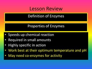 Lesson Review Definition of Enzymes Properties of Enzymes ,[object Object]
