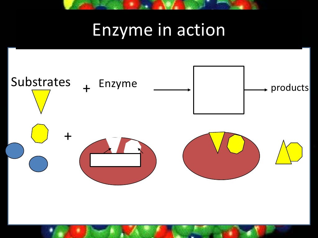 Nas Enzymes Lesson 2