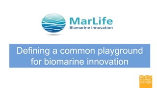 1
Defining a common playground
for biomarine innovation
 