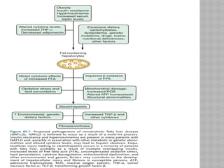 Non alcoholic fatty liver disease in detail.pptx