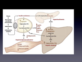 Clin Liver Dis 16 (2012) 505–524!
 