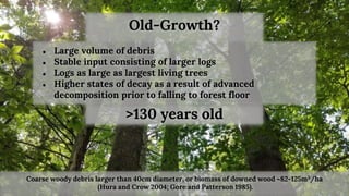Old-Growth?
● Large volume of debris
● Stable input consisting of larger logs
● Logs as large as largest living trees
● Hi...