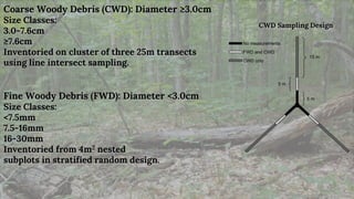 Coarse Woody Debris (CWD): Diameter ≥3.0cm
Size Classes:
3.0-7.6cm
≥7.6cm
Inventoried on cluster of three 25m transects
us...