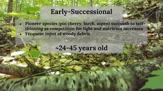 Early-Successional
● Pioneer species (pin cherry, birch, aspen) succumb to self-
thinning as competition for light and nut...