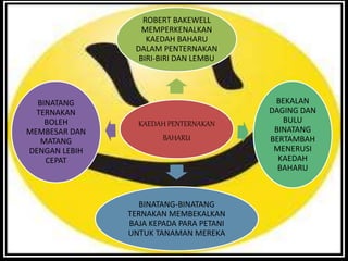KAEDAH PENTERNAKAN
BAHARU
ROBERT BAKEWELL
MEMPERKENALKAN
KAEDAH BAHARU
DALAM PENTERNAKAN
BIRI-BIRI DAN LEMBU
BEKALAN
DAGING DAN
BULU
BINATANG
BERTAMBAH
MENERUSI
KAEDAH
BAHARU
BINATANG-BINATANG
TERNAKAN MEMBEKALKAN
BAJA KEPADA PARA PETANI
UNTUK TANAMAN MEREKA
BINATANG
TERNAKAN
BOLEH
MEMBESAR DAN
MATANG
DENGAN LEBIH
CEPAT
 
