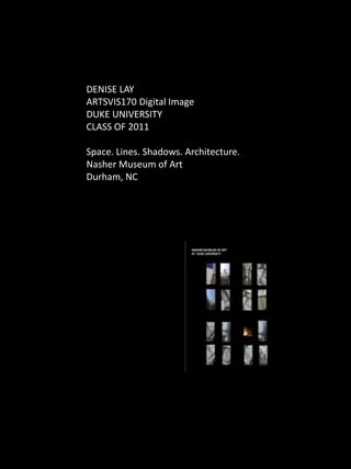DENISE LAY
ARTSVIS170 Digital Image
DUKE UNIVERSITY
CLASS OF 2011

Space. Lines. Shadows. Architecture.
Nasher Museum of Art
Durham, NC
 